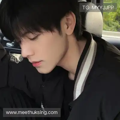 农杉菁